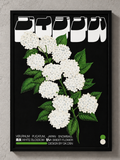 Viburnum